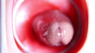 Camera inside the pussy! The wettest and tastiest hole with a big dick inside!