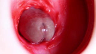 Nice big head slides inside best friend's sweet shiny hole!