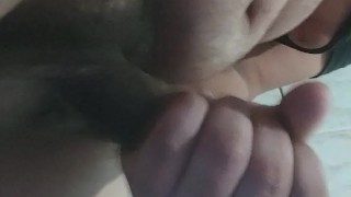 Oso activo muestra sus grandes bolas