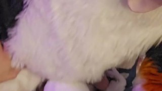 Horny step bros fuck and cum together 💦 @AngryBarks and @LewdmindedLynx