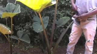 PUBLIC MASTURBATION ( MAN ALMOST CAUGHT JERKING OFF IN PUBLIC)