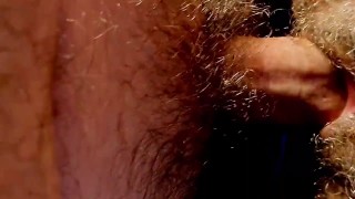 Amazone und Anaconda