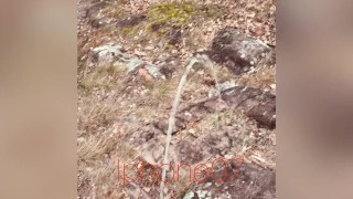 I had to pee twice on the same walk in the park