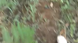 PUBLICLY JERKING OFF IN THE WOODS