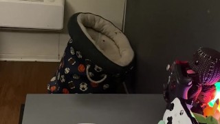 Femboy cums in his coffee and drinks it all