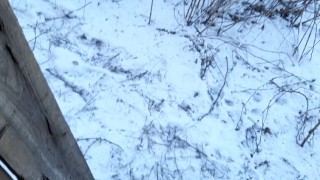 Quick lesbian sex in the toilet on the street - Lesbian_illusion