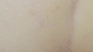 sfondami a pecora bastardo