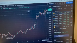 A Day in the Life of a Crypto Investor