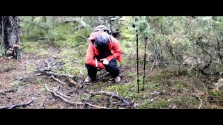 Yet another hiking piss, I'm doing that just by the hiking trail