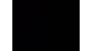 Bodacious Boobs, Cocks and Fine Asses