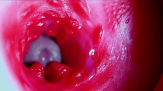 Juicy beautiful pussy squelches inside ASMR close-up inside the anus