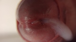 макро оргазм