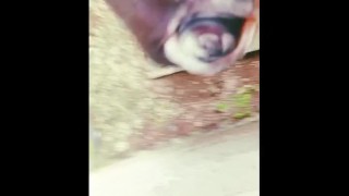 Jerking off Hard while Watching Porn