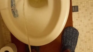 Pissing compilation