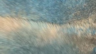 daily jerk off 08/30 - my dick drips precum until I cum - jerk off challenge