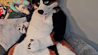 @AngryBarks from the Vet's office teaches your how to milk your puppy boyfriend 👨‍🔬💦