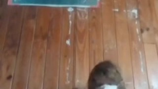 Dad masturbating over nude cheating women