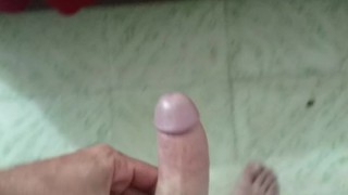 Pajaaaa