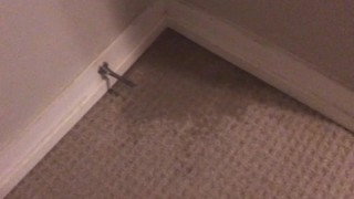 Peeing on My Bedroom Carpet in the Middle of the Night