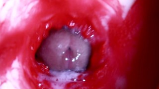 Hot Wet Sexy Hole And Sloppy Big Cock