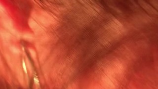 Sensual Mamada POV (Final Húmedo)