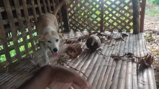 KANTUTAN Vlog Kami Muna Ni Brownie habang Wala Tao SA Kubo