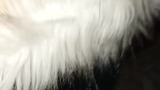 Pompino in cantina...