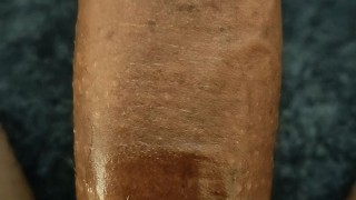 Slow Short from 2023