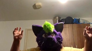 Furry finds out GTA 6 is delayed