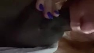 Deepthroat City episode 6 teaser