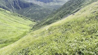 Frotting cocks outside with a hiking buddy