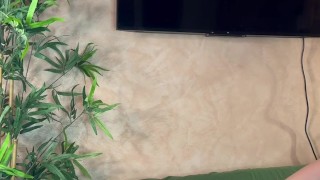 Two girls masturbating to each other