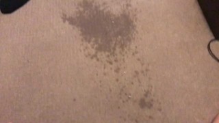Pissing on my Bedroom Carpet in the Middle of the Night