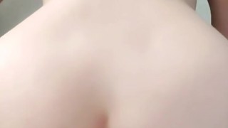 Rich white Colombian sitones