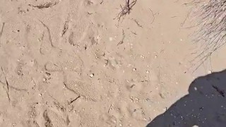 Nude beach jerking off big uncut cock