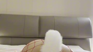 asian intense masturbation with butt plug and vibrator, fishnet stockings fantasy