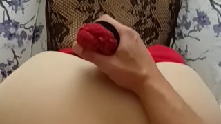 Latina word geneukt doggy