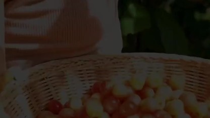 Ripe Cherry - First Day of Summer 2025