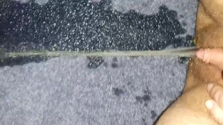 I love peeing in corners