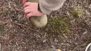 SURVIVAL bushcraft skills: camping lifehacks outdoors forest asmr