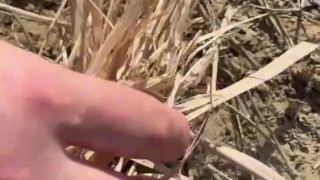 SURVIVAL bushcraft skills: camping lifehacks outdoors forest asmr