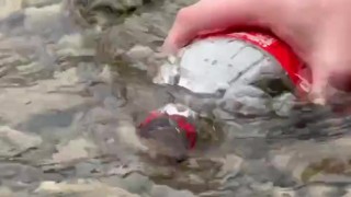 SURVIVAL bushcraft skills: camping lifehacks outdoors forest asmr