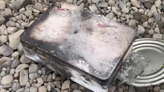 SURVIVAL bushcraft skills: camping lifehacks outdoors forest asmr