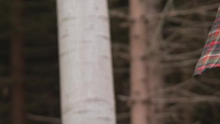 Smoke Me in the Wild - Inhale Me by Denice K