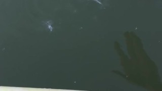 Solo Male Kayak Masturbation Cumming For You