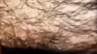 Oh daddy, do you want to put your cock in my hairy pussy? Watch me masturbate.