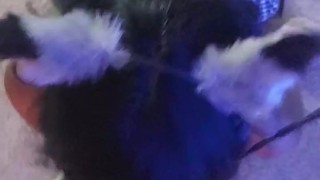 Slutty Black Sex Kitten Slave